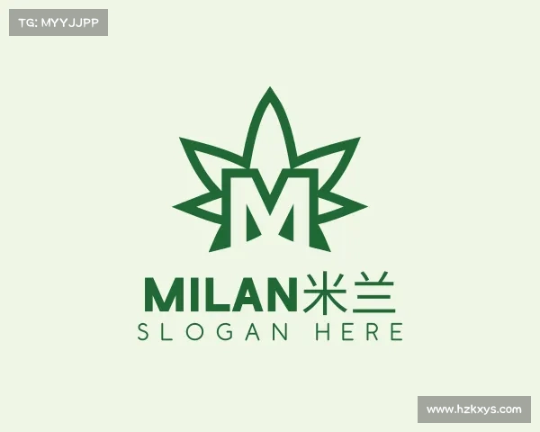 关于milan米兰